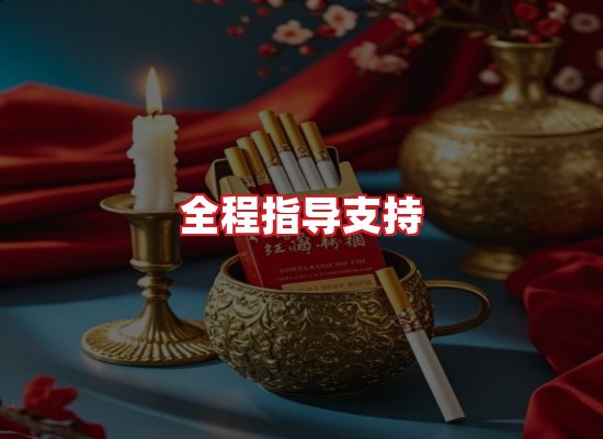 专业团队